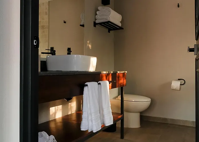 Hotel Casa Serenos México DF