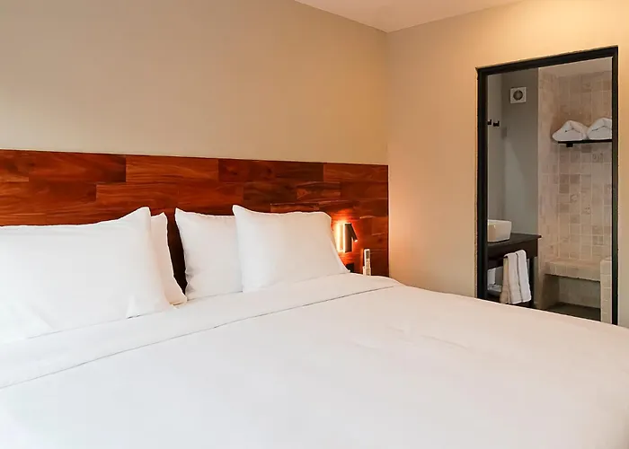 Casa Serenos Hotel 3*